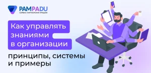 Как управлять знаниями в организации: принципы, системы и примеры